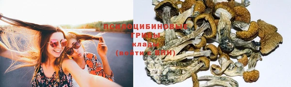 молекула духа Верхний Тагил