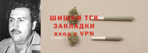 СК Верея