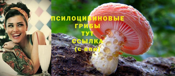 СК Верея