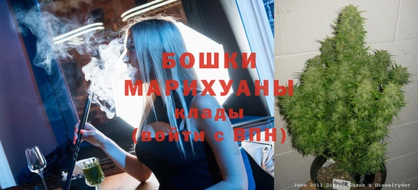 прущие грибы Верхнеуральск