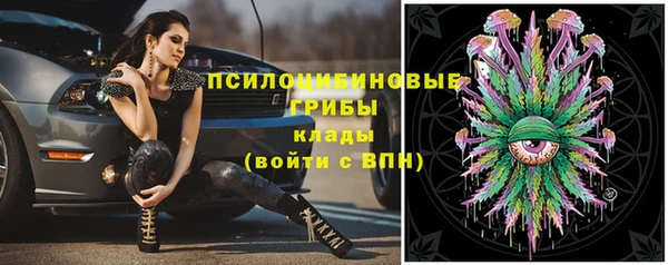 прущие грибы Верхнеуральск