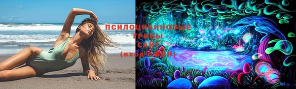 СК Верея
