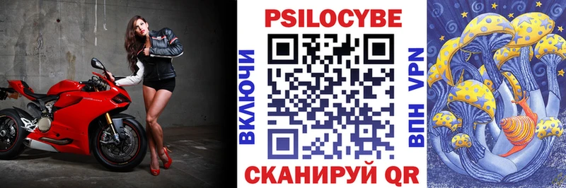 площадка клад  Рузаевка  Псилоцибиновые грибы GOLDEN TEACHER 