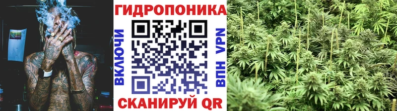 Шишки марихуана гибрид Рузаевка